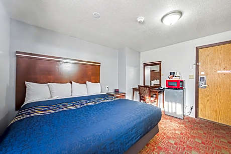 1 King Bed Non-Smoking