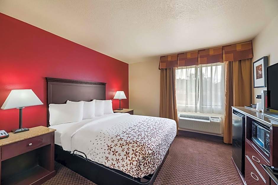 Photo 1 of 4 of 1 Queen Bed, Mobility Accessible, Bathtub