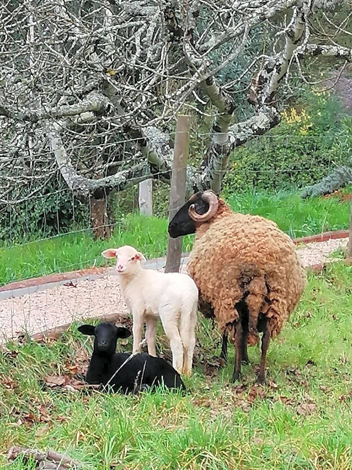 Adore Portugal Bungalow Natureza & Vista de Serra