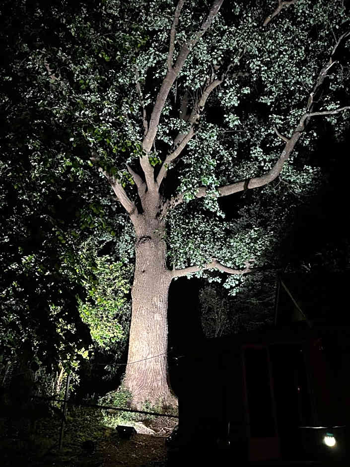 MAROSENIA TTIKI - Cabanes et Spa