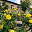 La Rosa Selvatica