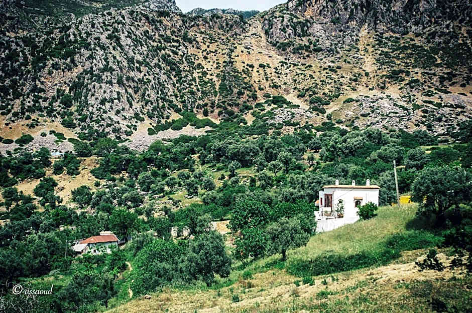 Dar Wadada