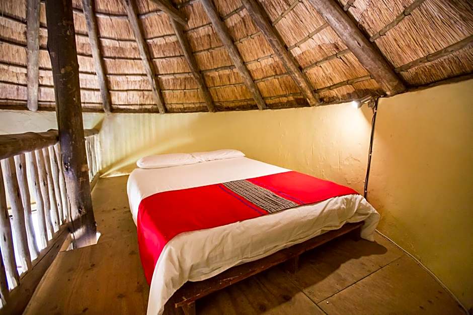 Amphitheatre Backpackers Lodge