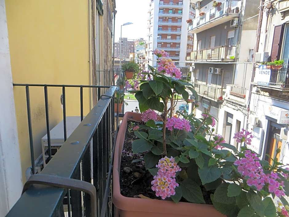 Al Mare In Città