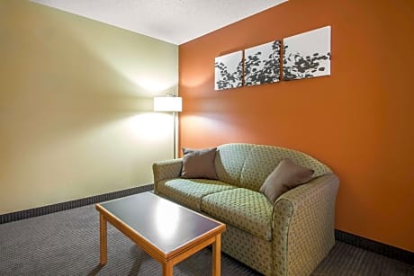 1 King Bed, Suite, Nonsmoking, Accessible