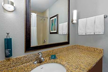 1 Kng 2 Rm Exec Suite W/Sofabed - Non Smoking