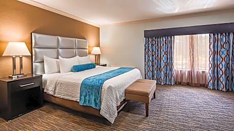 Accessibility - Suite - 1 King Bed, Roll-in Shower, Sofabed, Separate Bedroom, Nonsmoking