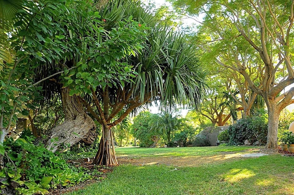 Ein Gedi Kibbutz Hotel