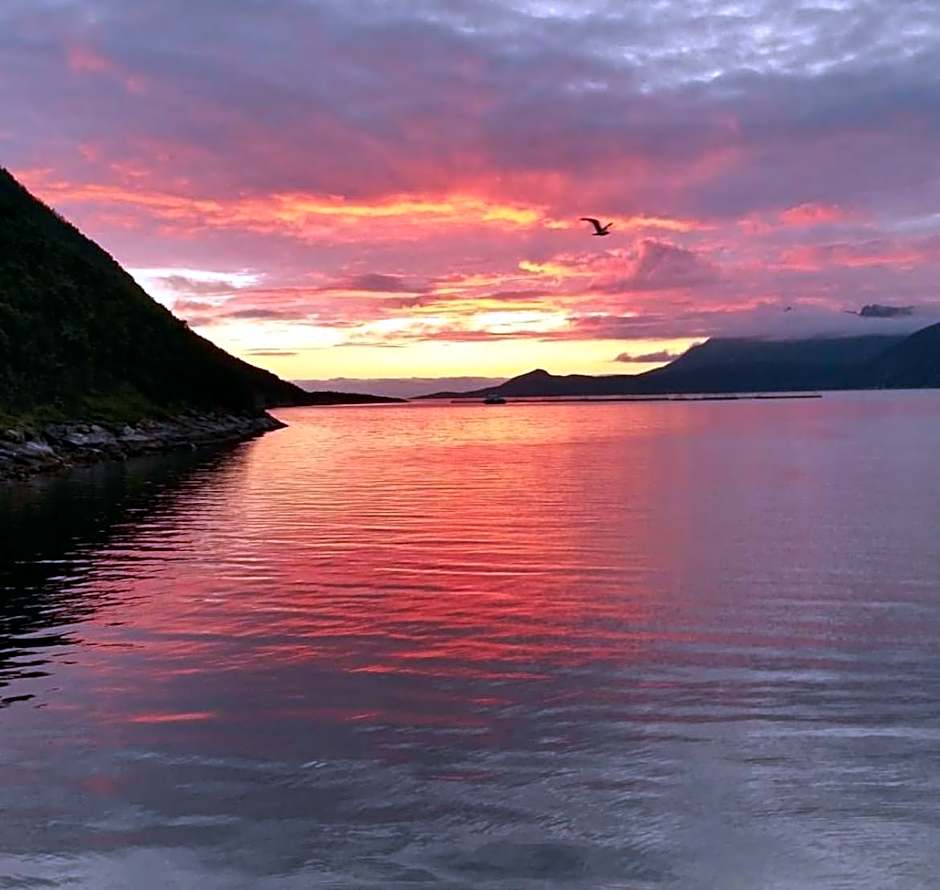Senja Living