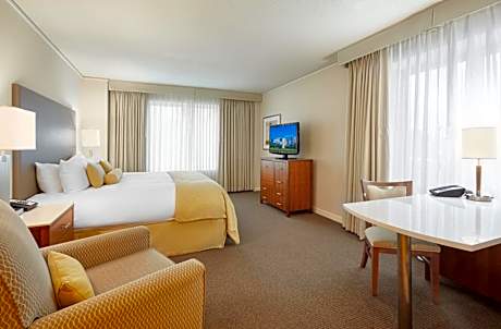 Premium King Room