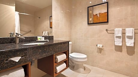 Suite-1 King Bed, Non-Smoking, Shower Only, Vaulted Ceilings, Kitchenette, Sitting Area, Sofabed, Fu