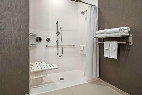 Suite, 1 King Bed with Sofa bed (Hearing Accessible) (1 King Bed and 1 Double Sofa Bed)