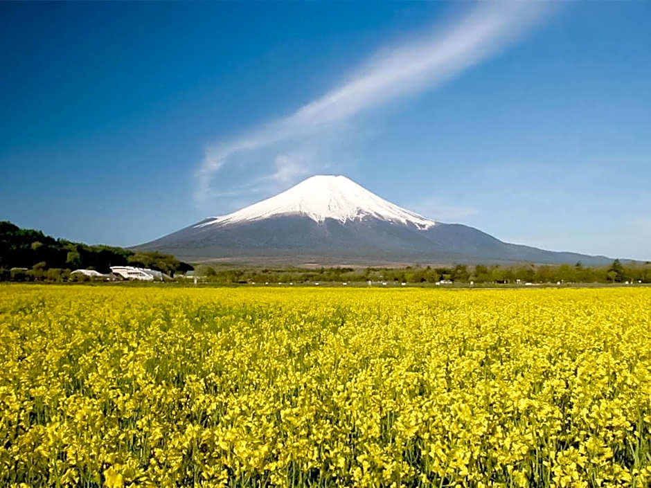 Minamitsuru-gun - Hotel / Vacation STAY 45535