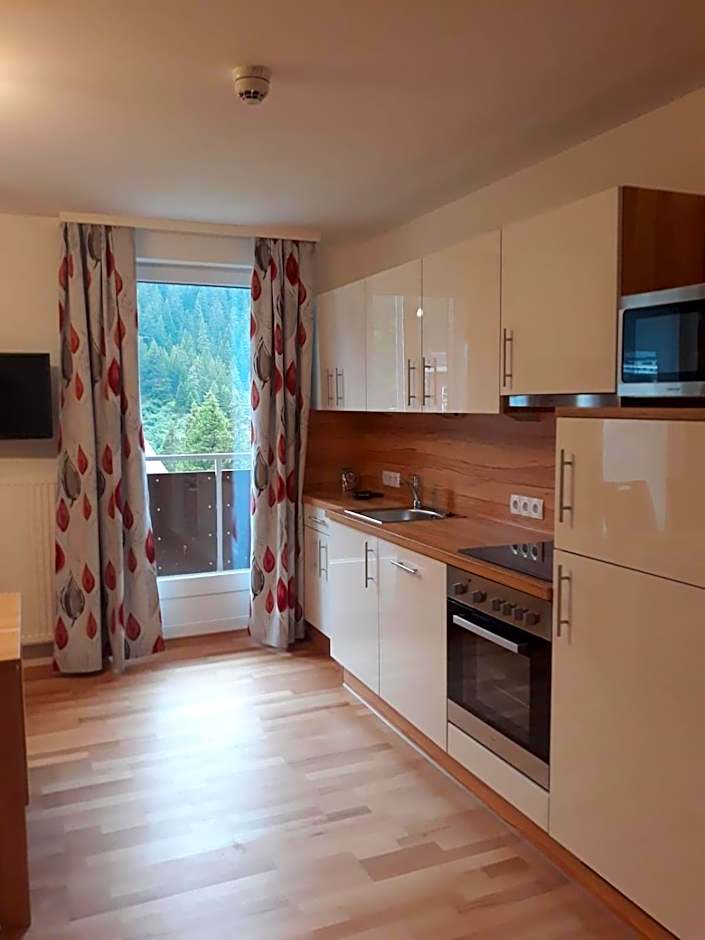 Ferienwohnung Ski-Hans