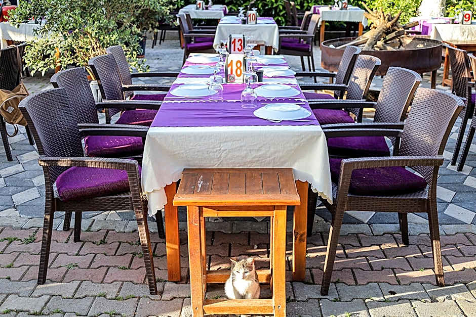 Three Islands Bungalow