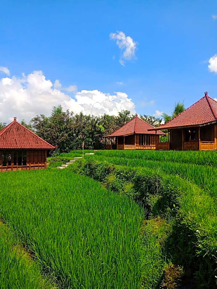 Ubud Sawah Scenery Villa and Homestay