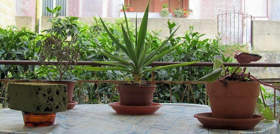 Bed & Breakfast Alice