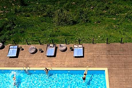Hotel Roshe Gudauri