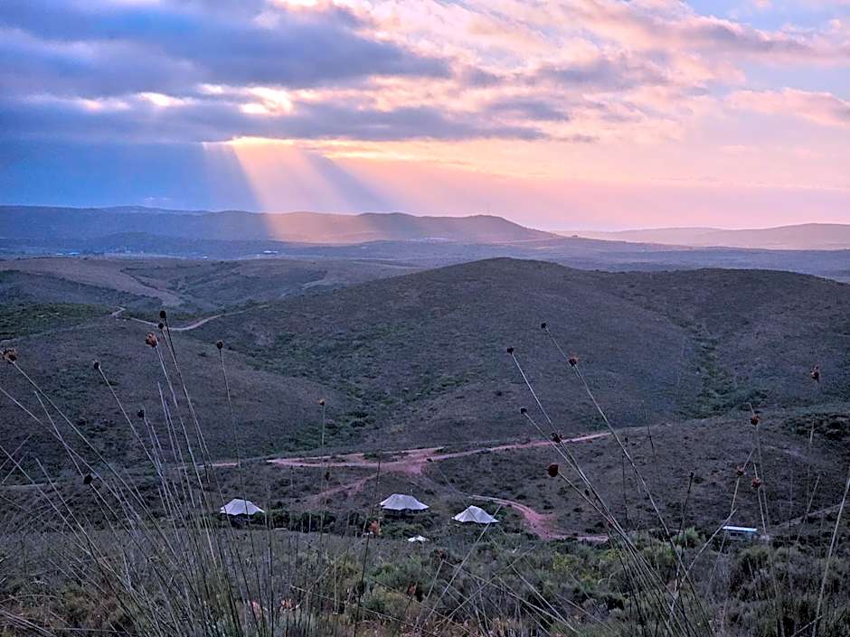 Garden Route Safari Camp