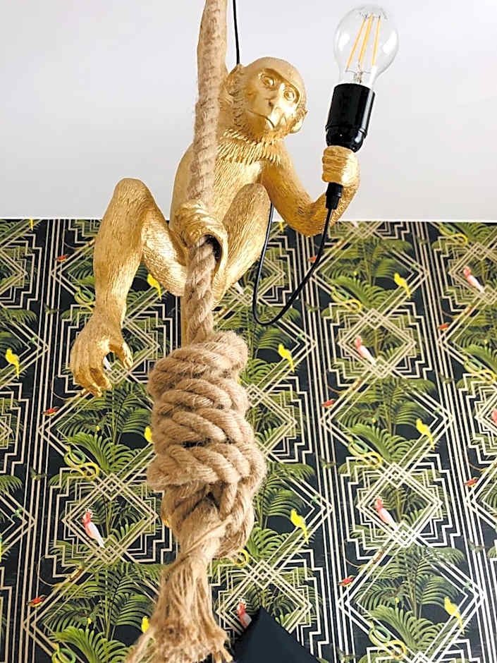 House of Trento - NO Reception