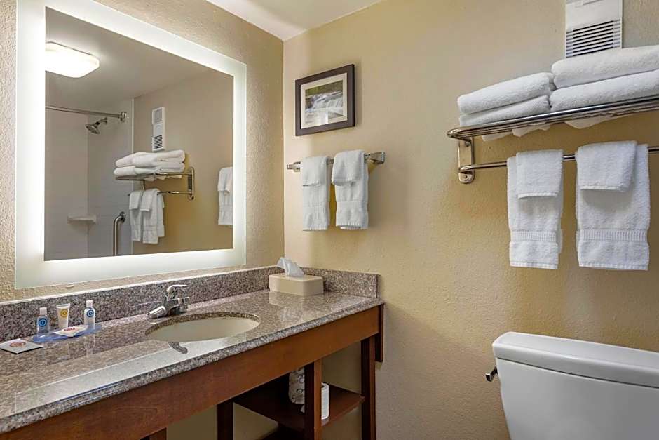 Comfort Inn & Suites Little Rock Airport