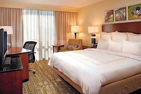 Room, 1 King Bed (Mobility/Hearing Accessible, Tub)