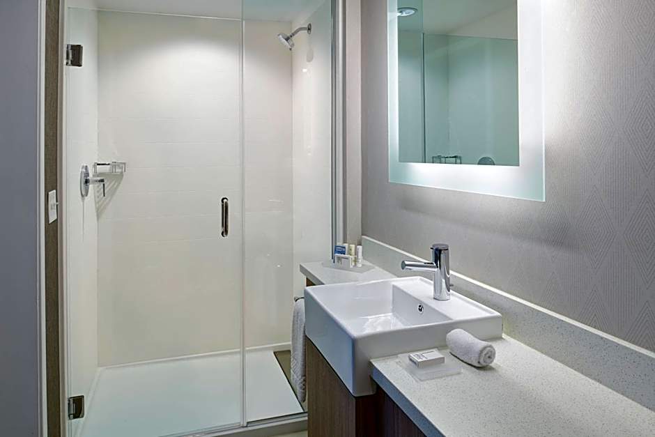 Springhill Suites by Marriott Wixom Novi