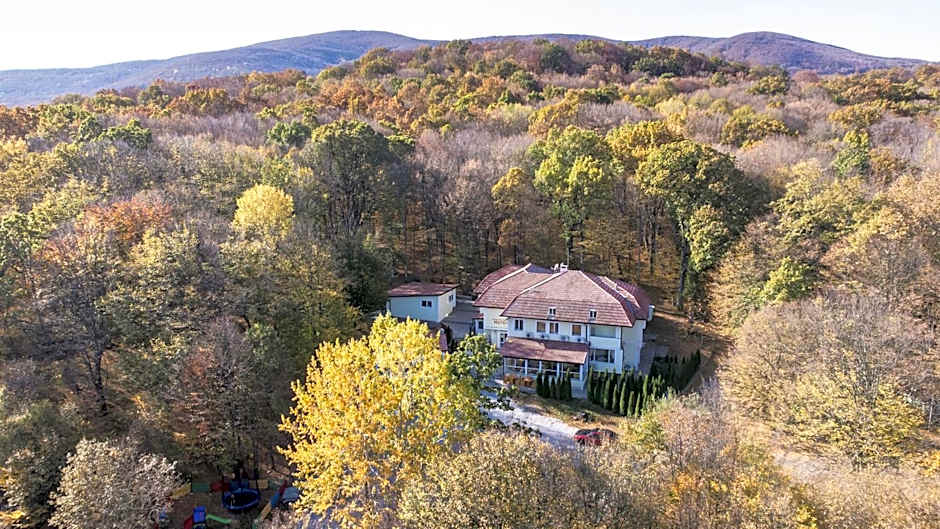 Hotel & Restaurant Kotel
