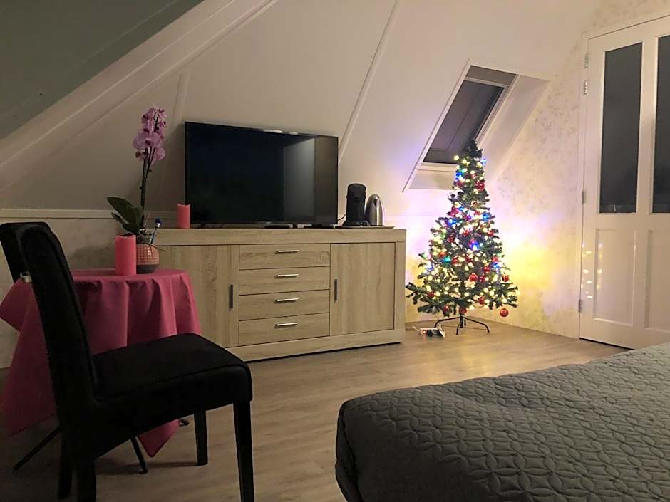 B&B nancy in holland met eigen badkamer , Jacuzzi niet inclusief , independent bathroom jacuzzi not included