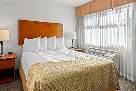 Queen Room with Sofa Bed