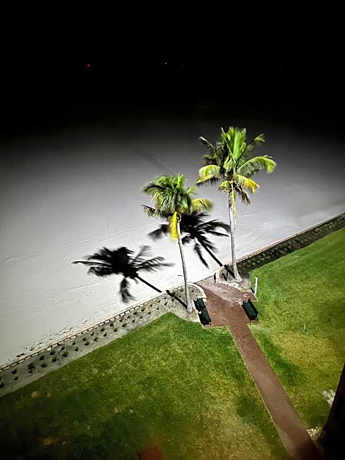 Always Summer On a White Sandy Beach