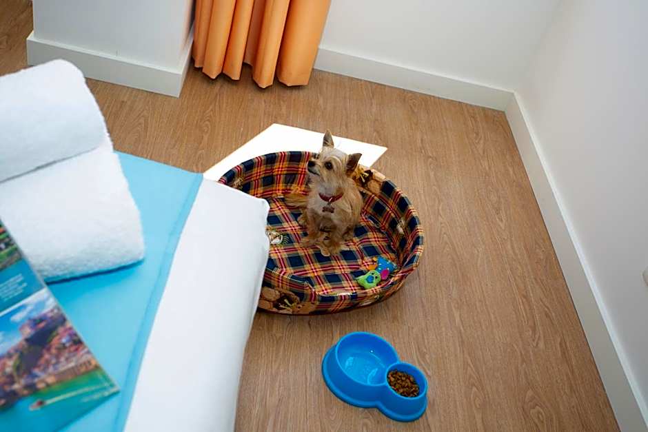 Casual Raízes Porto