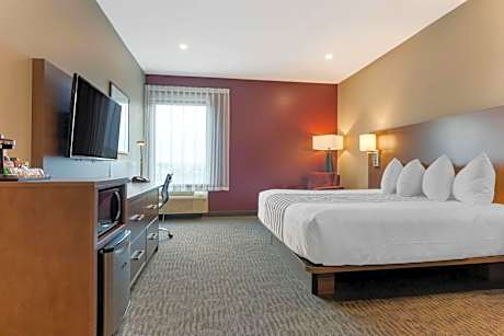 King Room with Roll-In Shower - Disability Access