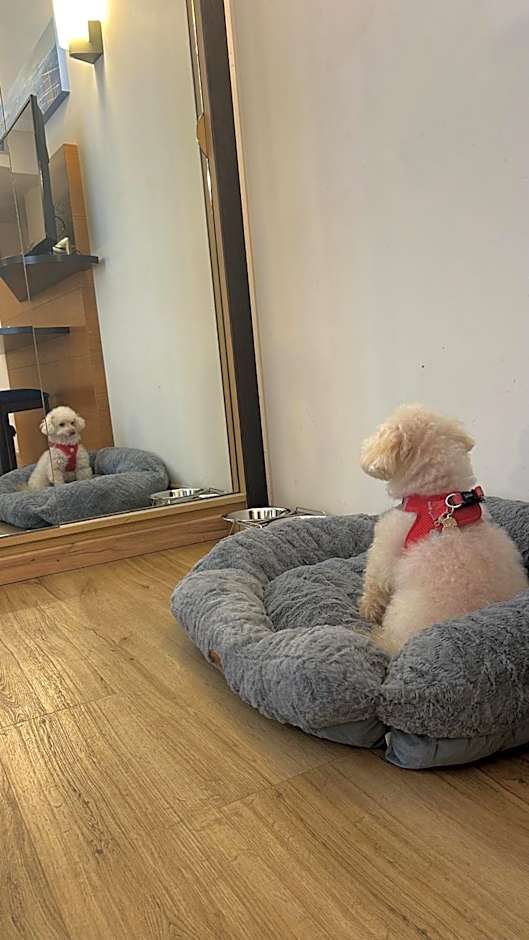 Hotel Bonalba Alicante