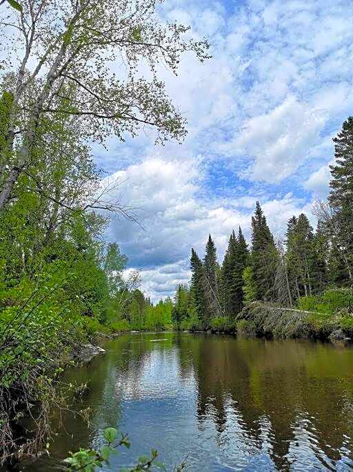 Refuge Rustic bordé par rivière et la nature