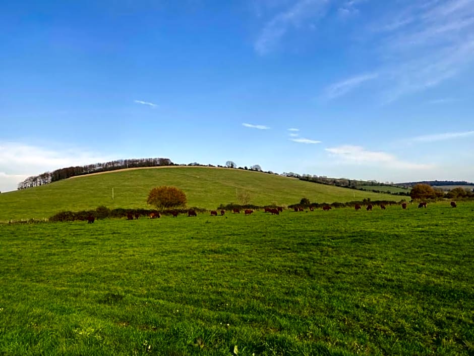 Charlton End - Goodwood Events