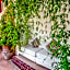 Riad Chorfa