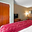 Comfort Suites Knoxville North