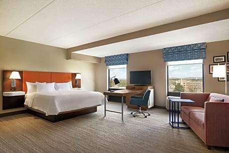1 King Bed Studio Suite W/ Sofabed Nonsmoking