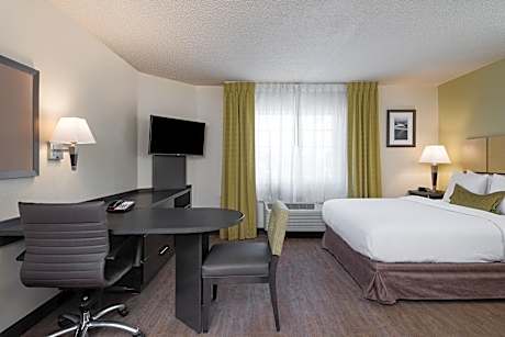 Studio Suite