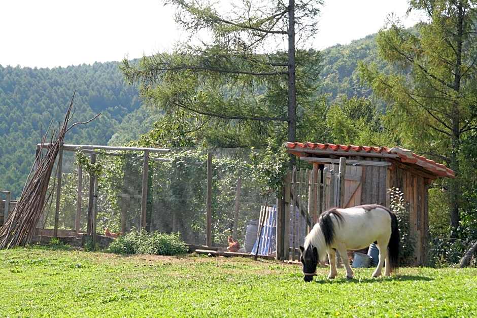 Casa Rural Ecológica Kaaño Etxea