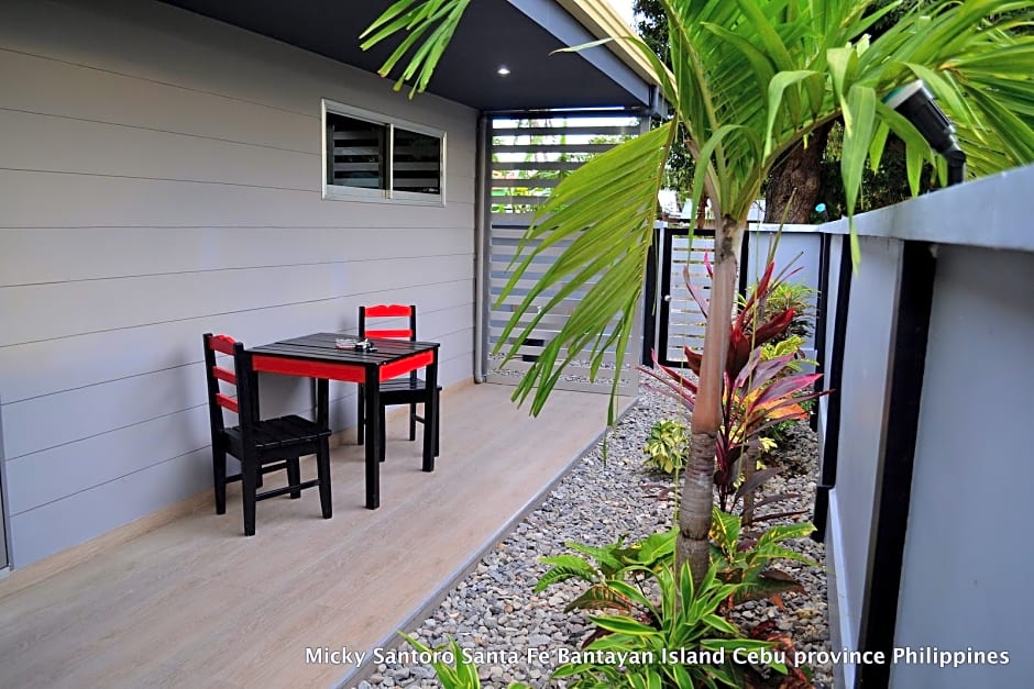 Micky Santoro- Apartments