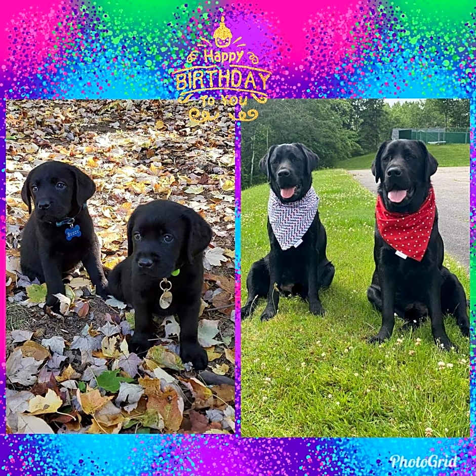 Fair Isle Motel & The Nest