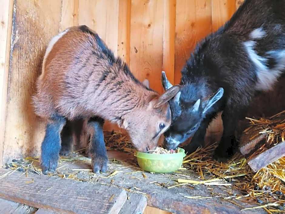 Praschhof