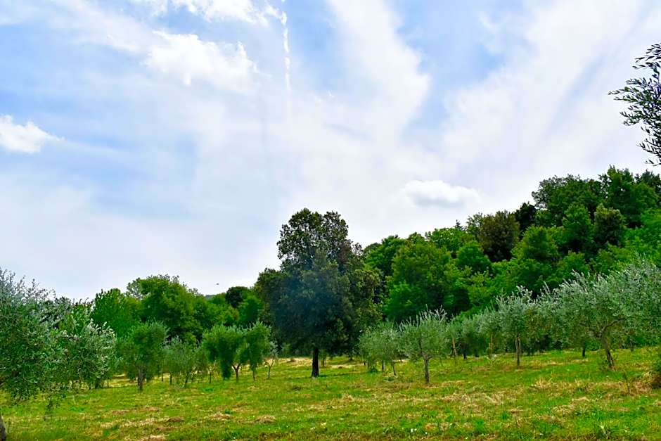 Mezzano In Chianti