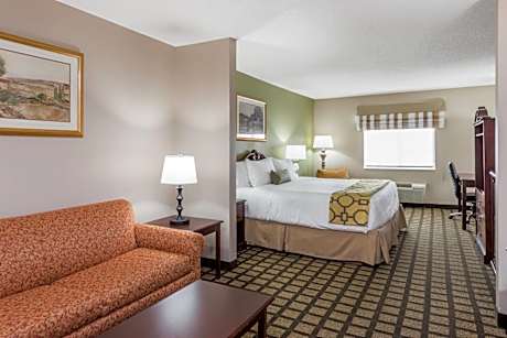 Deluxe King Room - Non-Smoking