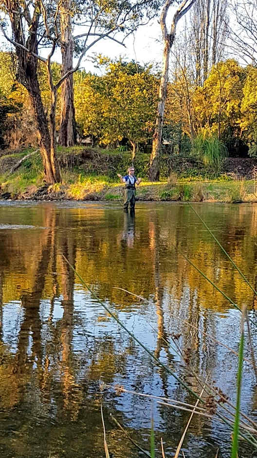 Goldfield Holiday Units