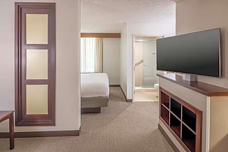 King Room with Sofa Bed