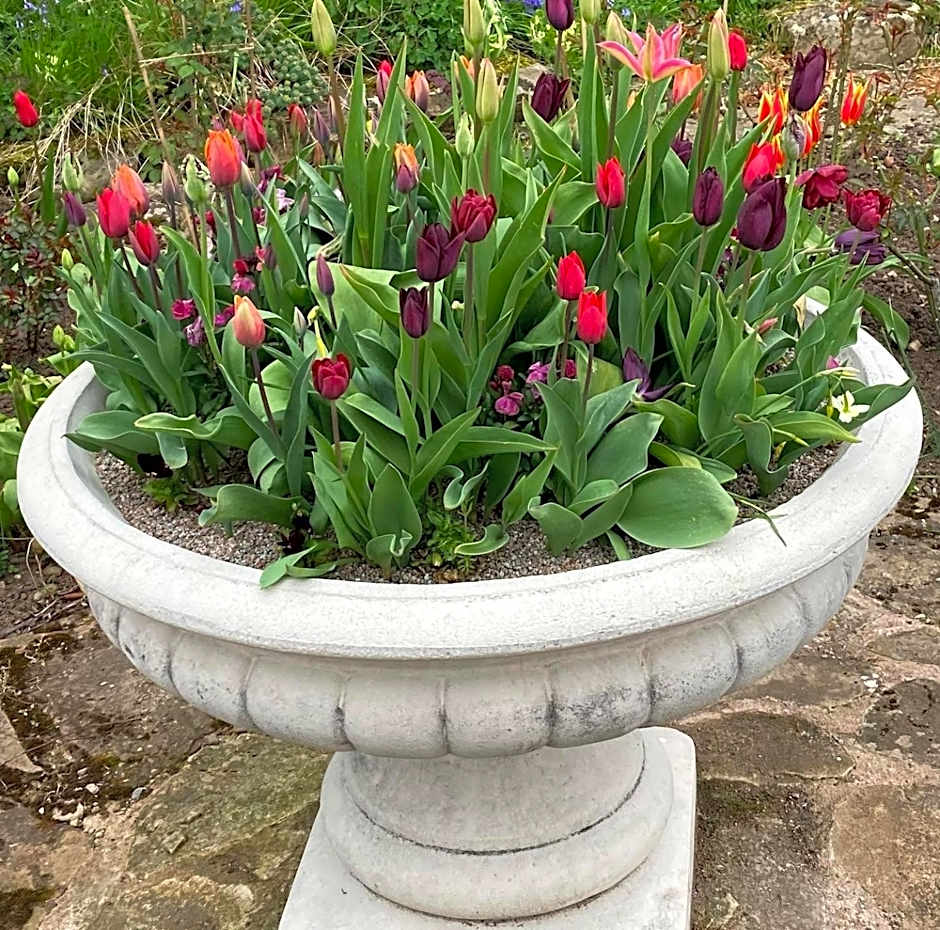 Bedrule Old Manse B&B