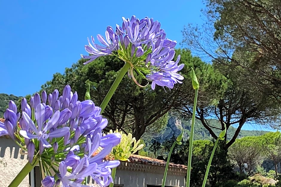 Auberge Val Moureze Hôtel & Spa